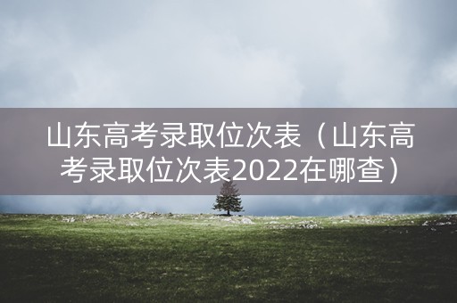 山东高考录取位次表（山东高考录取位次表2022在哪查）