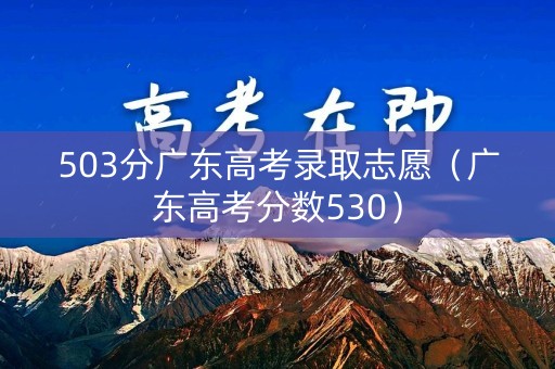 503分广东高考录取志愿（广东高考分数530）