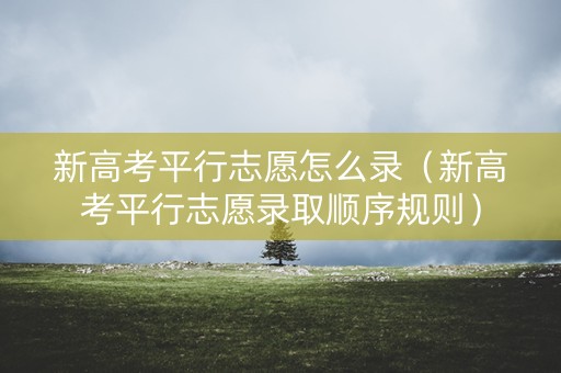 新高考平行志愿怎么录（新高考平行志愿录取顺序规则）