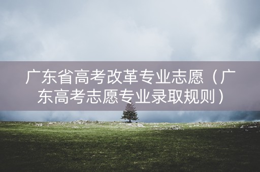 广东省高考改革专业志愿（广东高考志愿专业录取规则）