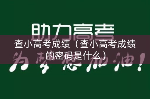 查小高考成绩（查小高考成绩的密码是什么）