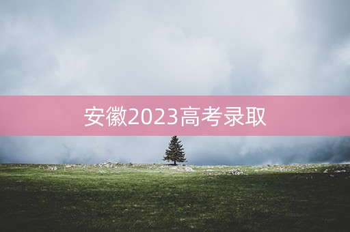 安徽2023高考录取