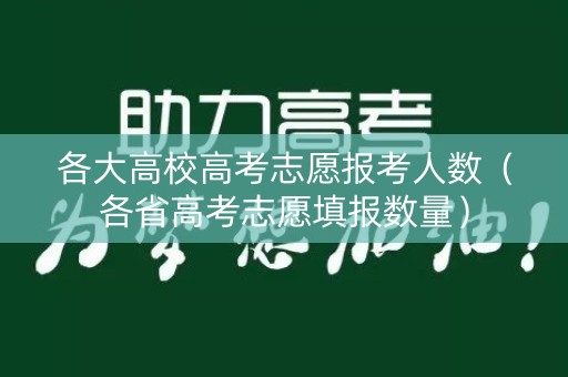 各大高校高考志愿报考人数（各省高考志愿填报数量）