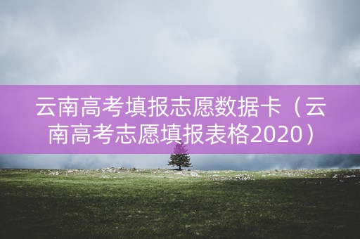 云南高考填报志愿数据卡（云南高考志愿填报表格2020）