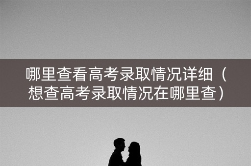哪里查看高考录取情况详细(想查高考录取情况在哪里查) 哪里查看高考录取情况详细(想查高考录取情况在哪里查)
