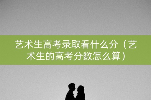 艺术生高考录取看什么分（艺术生的高考分数怎么算）