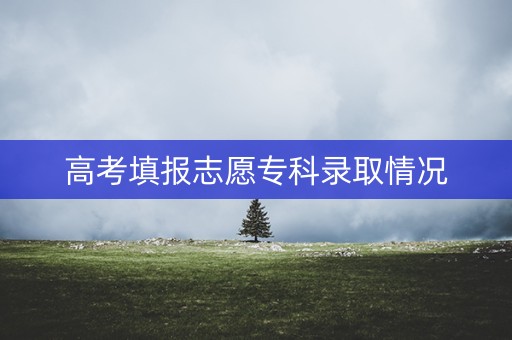 高考填报志愿专科录取情况