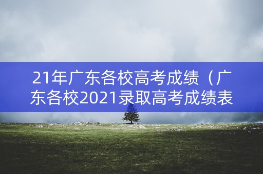 21年广东各校高考成绩(广东各校2021录取高考成绩表) 21年广东各校高考成绩(广东各校2021录取高考成绩表)