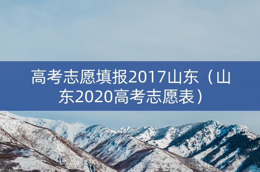 高考志愿填报2017山东（山东2020高考志愿表）