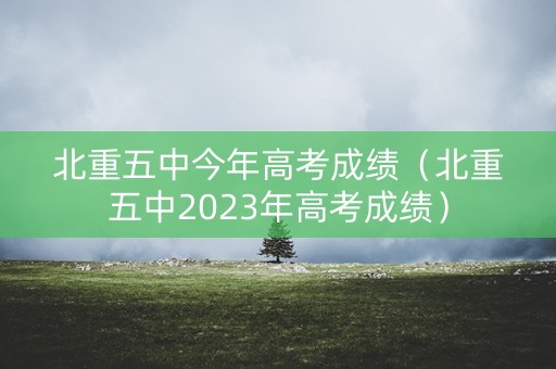 北重五中今年高考成绩（北重五中2023年高考成绩）