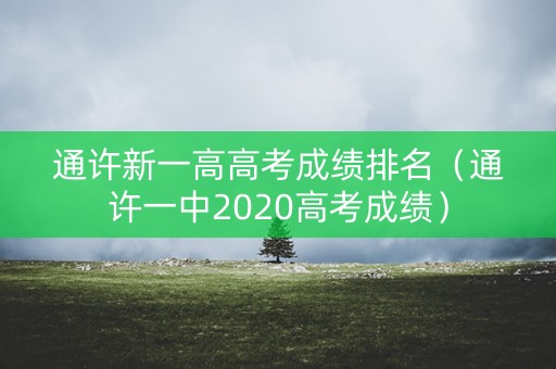 通许新一高高考成绩排名（通许一中2020高考成绩）