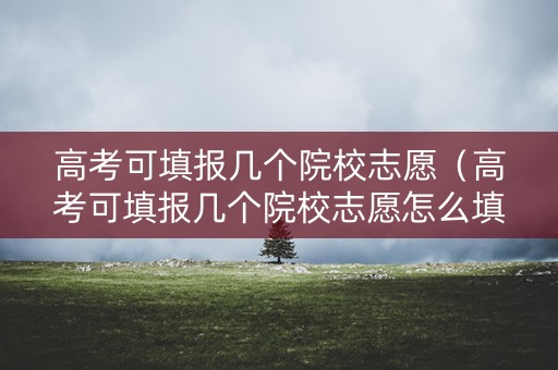 高考可填报几个院校志愿(高考可填报几个院校志愿怎么填) 高考可填报几个院校志愿(高考可填报几个院校志愿怎么填)