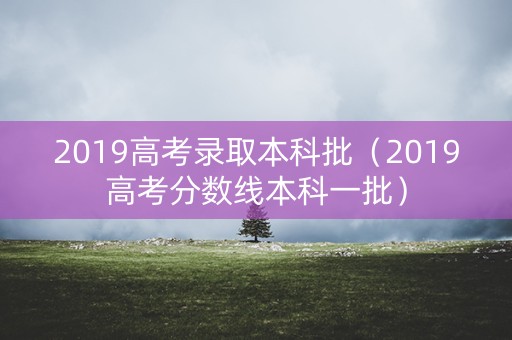 2019高考录取本科批(2019高考分数线本科一批) 2019高考录取本科批(2019高考分数线本科一批)
