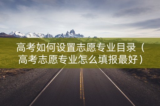 高考如何设置志愿专业目录（高考志愿专业怎么填报最好）