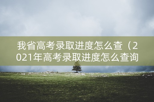我省高考录取进度怎么查（2021年高考录取进度怎么查询）