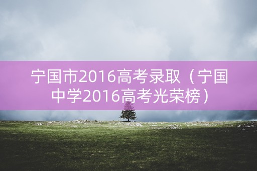 宁国市2016高考录取（宁国中学2016高考光荣榜）