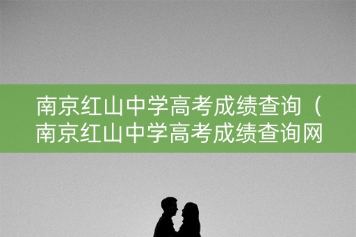 南京红山中学高考成绩查询（南京红山中学高考成绩查询网站）
