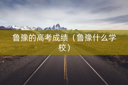 鲁豫的高考成绩（鲁豫什么学校）