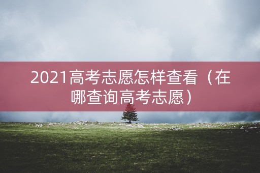 2021高考志愿怎样查看(在哪查询高考志愿) 2021高考志愿怎样查看(在哪查询高考志愿)