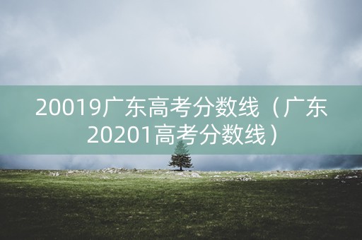 20019广东高考分数线（广东20201高考分数线）