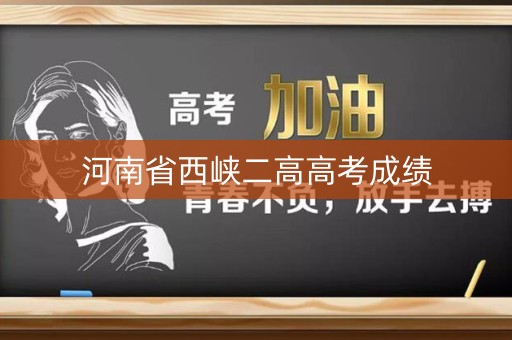 河南省西峡二高高考成绩