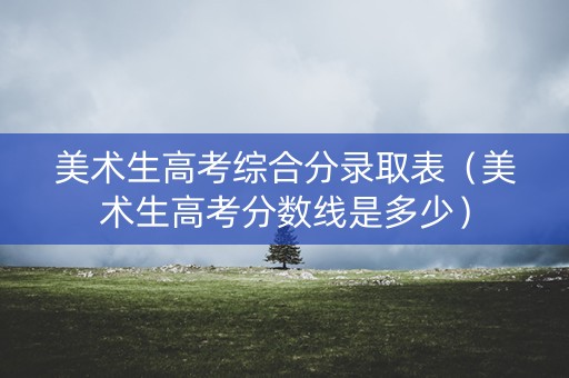 美术生高考综合分录取表（美术生高考分数线是多少）