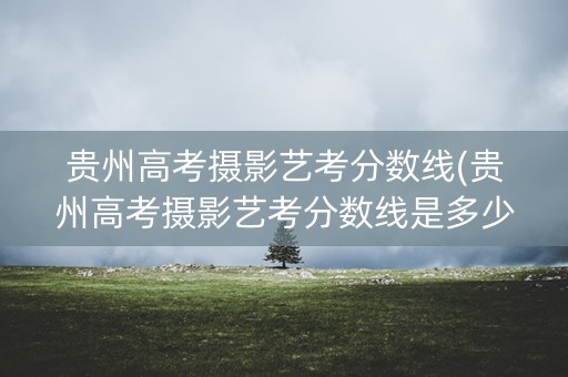 贵州高考摄影艺考分数线(贵州高考摄影艺考分数线是多少)