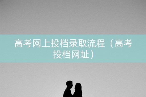 高考网上投档录取流程（高考投档网址）