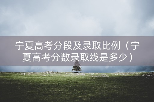 宁夏高考分段及录取比例（宁夏高考分数录取线是多少）