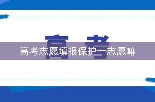 高考志愿填报保护一志愿嘛