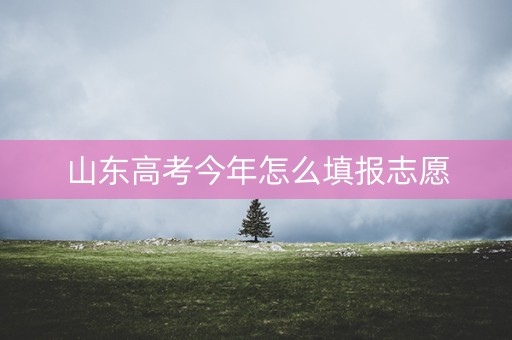 山东高考今年怎么填报志愿