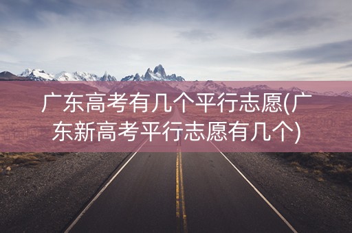 广东高考有几个平行志愿(广东新高考平行志愿有几个)