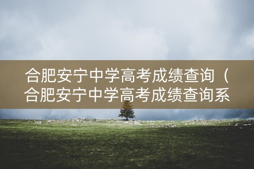 合肥安宁中学高考成绩查询（合肥安宁中学高考成绩查询系统）