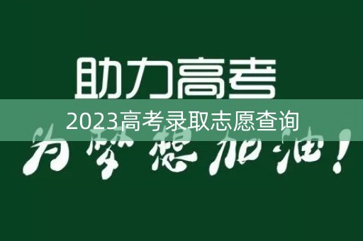 2023高考录取志愿查询