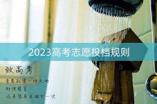 2023高考志愿投档规则