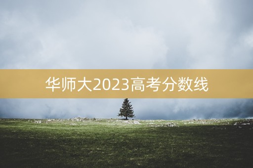 华师大2023高考分数线