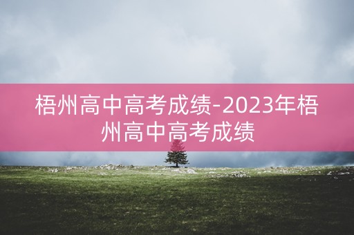 梧州高中高考成绩-2023年梧州高中高考成绩
