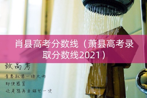 肖县高考分数线（萧县高考录取分数线2021）