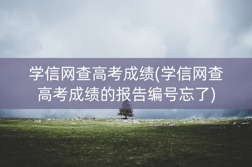 学信网查高考成绩(学信网查高考成绩的报告编号忘了)