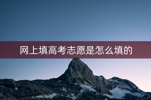 网上填高考志愿是怎么填的