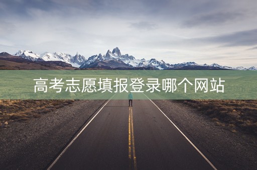 高考志愿填报登录哪个网站