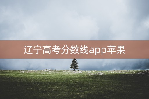 辽宁高考分数线app苹果