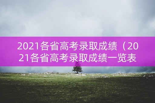2021各省高考录取成绩（2021各省高考录取成绩一览表）