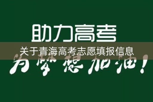 关于青海高考志愿填报信息