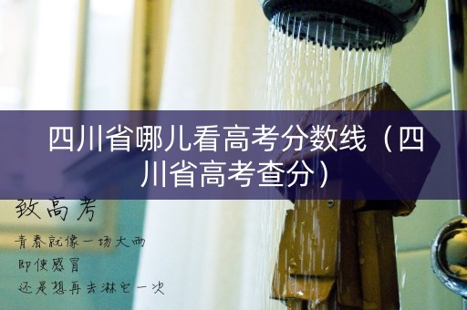 四川省哪儿看高考分数线(四川省高考查分) 四川省哪儿看高考分数线(四川省高考查分)