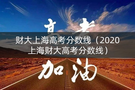 财大上海高考分数线（2020上海财大高考分数线）
