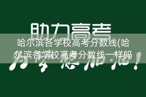 哈尔滨各学校高考分数线(哈尔滨各学校高考分数线一样吗) 哈尔滨各学校高考分数线(哈尔滨各学校高考分数线一样吗)