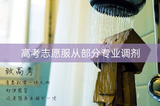 高考志愿服从部分专业调剂 高考志愿服从部分专业调剂