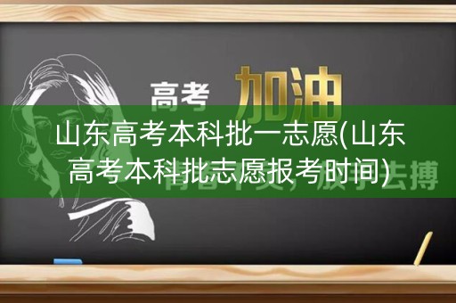 山东高考本科批一志愿(山东高考本科批志愿报考时间)