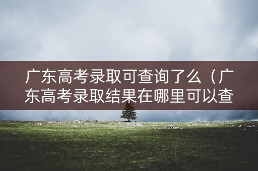 广东高考录取可查询了么（广东高考录取结果在哪里可以查到）